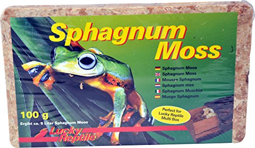 Lucky Reptile Sphagnum Moss - 100 g Terrarienmoos Ziegel für Reptilien - Terrarium zur Erhöhung der Luftfeuchtigkeit - Moos aus kontrolliertem Anbau Orchideen & Bromelien - Zubehör von Lucky Reptile