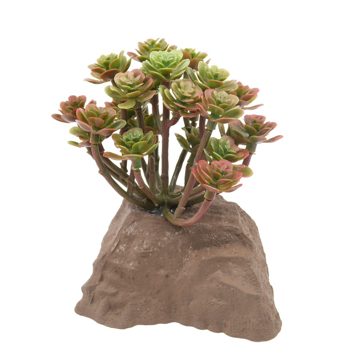 Lucky Reptile Steinpflanze 10 cm von Lucky Reptile