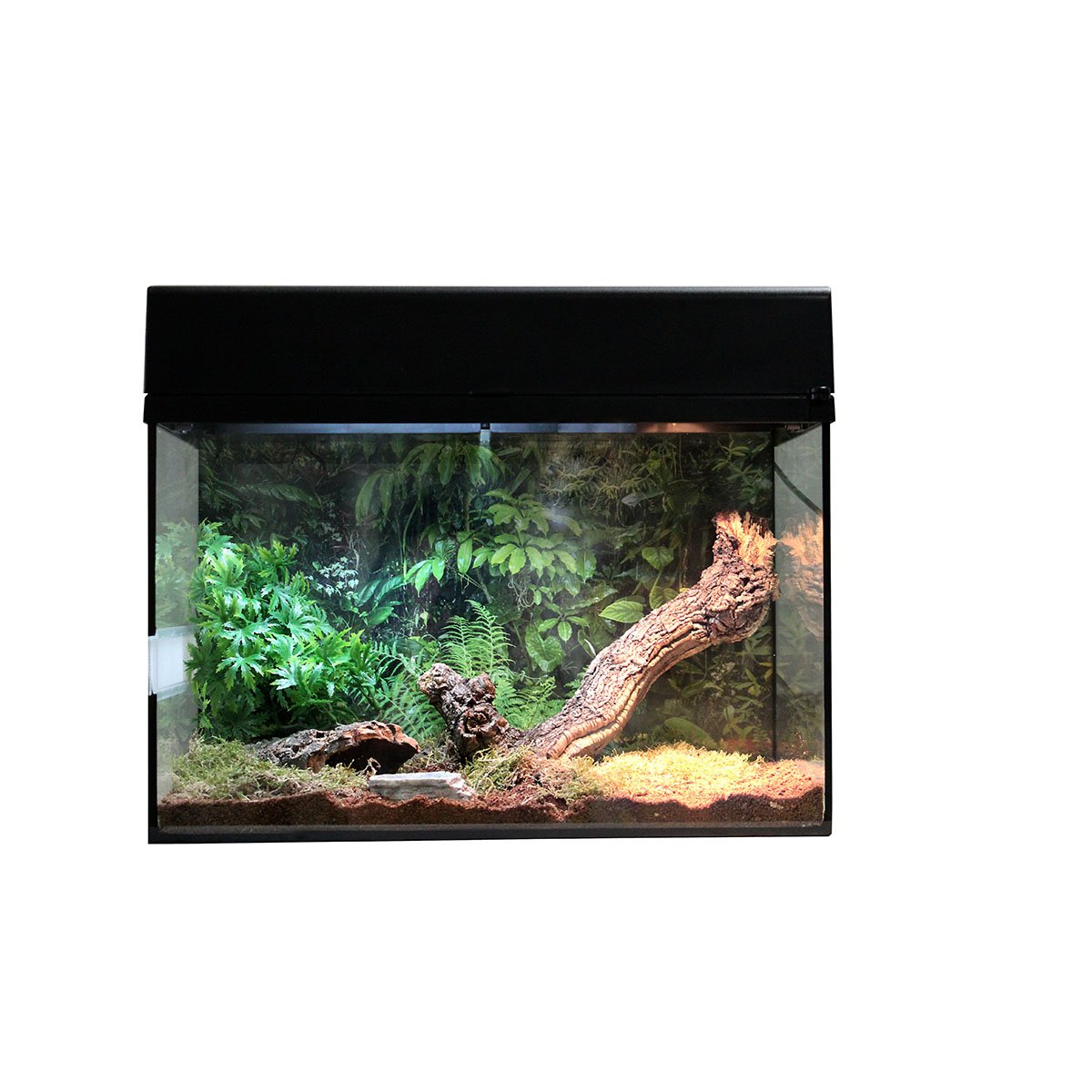 Lucky Reptile Terrarium Starter Kit 50 cm "Spinne + Skorpion" Schwarz von Lucky Reptile