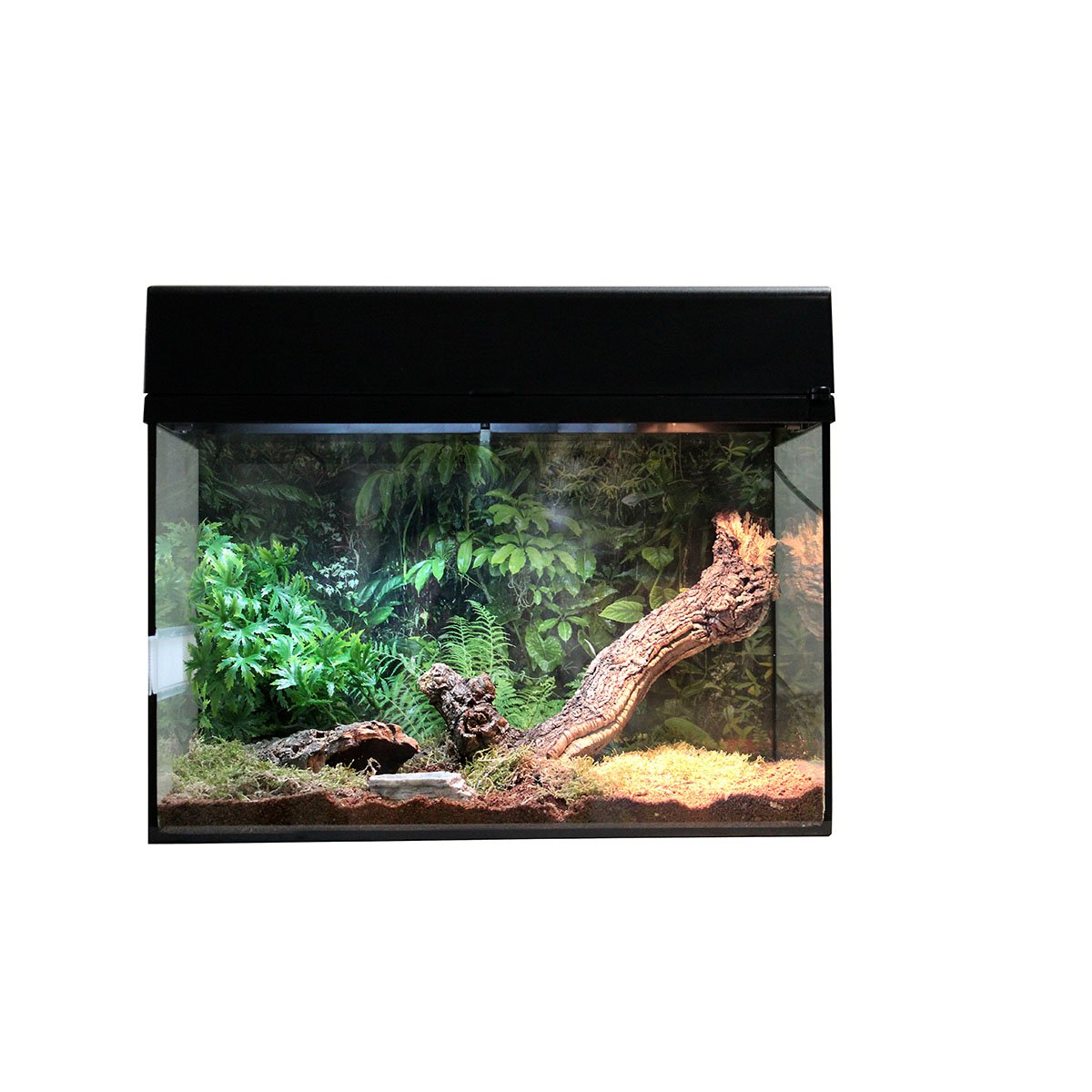 Lucky Reptile Terrarium Starter Kit 50 cm "Spinne + Skorpion" weiß Lucky Reptile Terrarium Starter Kit 50 cm "Spinne + Skorpion" weiß von Lucky Reptile