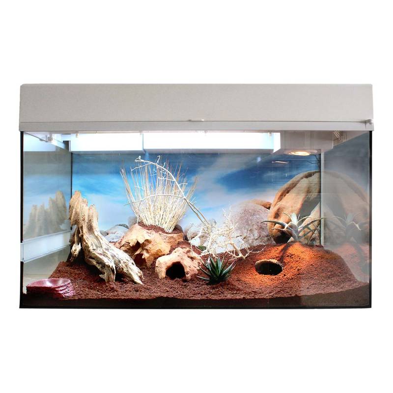 Lucky Reptile Terrarium Starter Kit 80 cm "Leopardgecko" weiß von Lucky Reptile