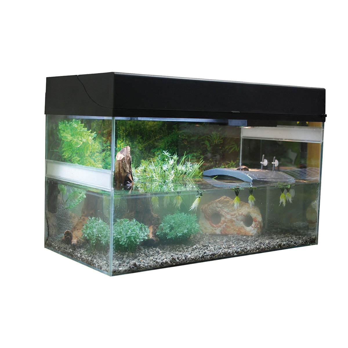 Lucky Reptile Terrarium Starter Kit 80 cm "Wasserschildkröte" Schwarz von Lucky Reptile