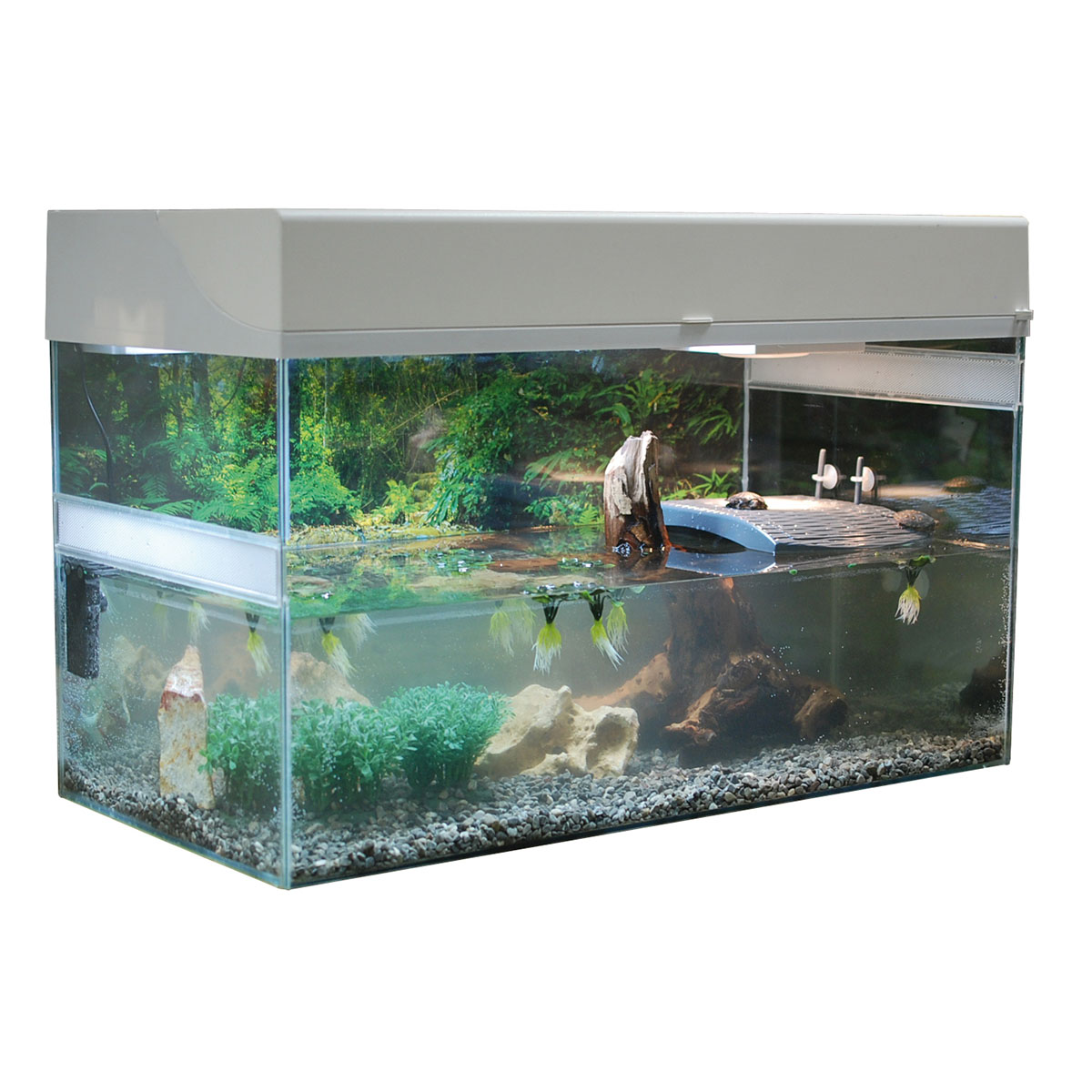 Lucky Reptile Terrarium Starter Kit 80 cm "Wasserschildkröte" weiß Lucky Reptile Terrarium Starter Kit 80 cm "Wasserschildkröte" weiß von Lucky Reptile