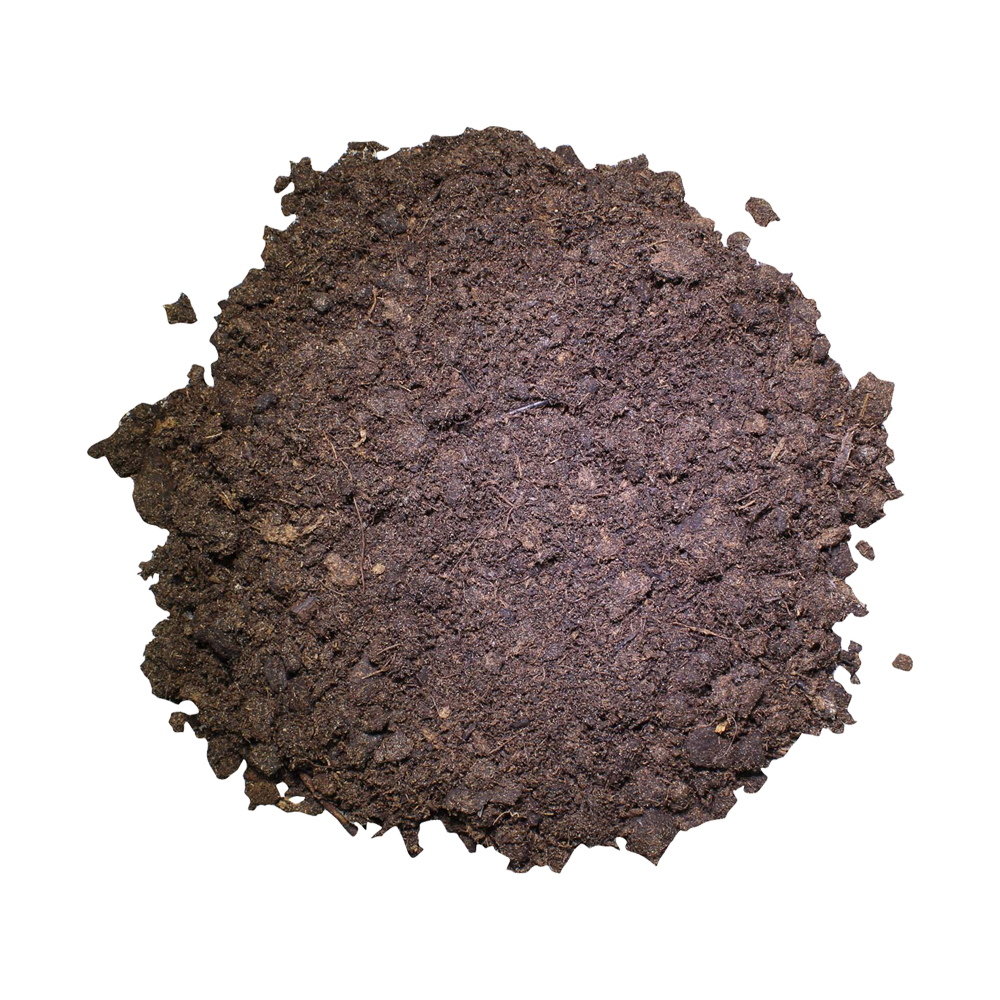 Lucky Reptile Tortoise Bedding - 20L Lucky Reptile Tortoise Bedding - 20L von Lucky Reptile