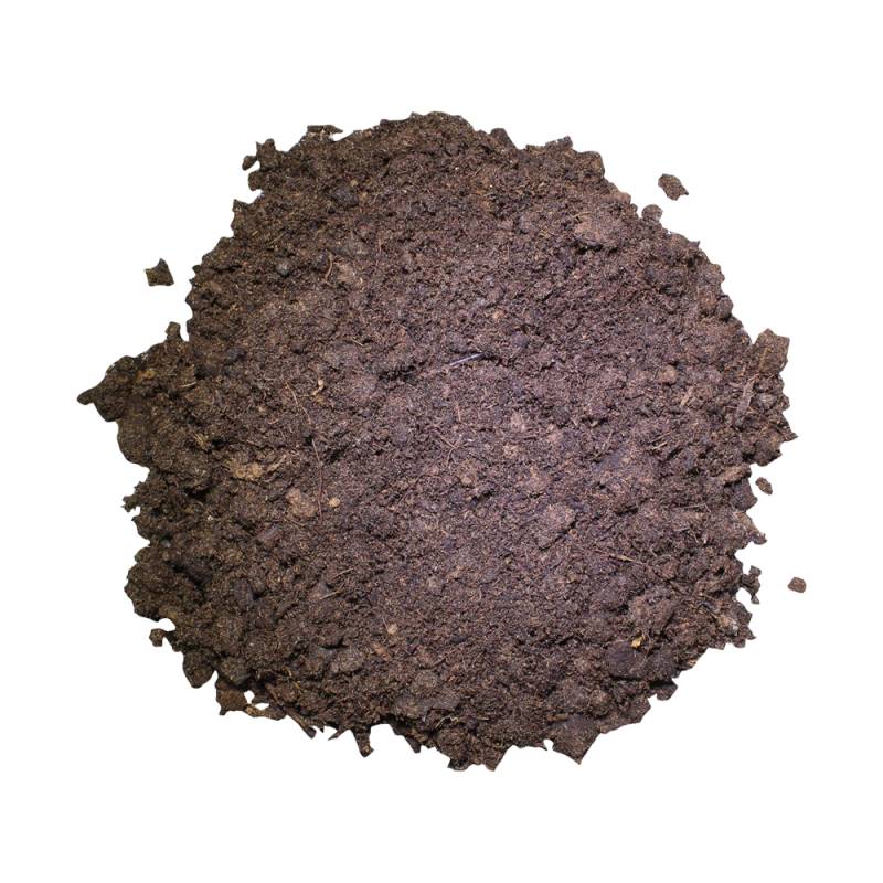 Lucky Reptile Tortoise Bedding - 20L von Lucky Reptile