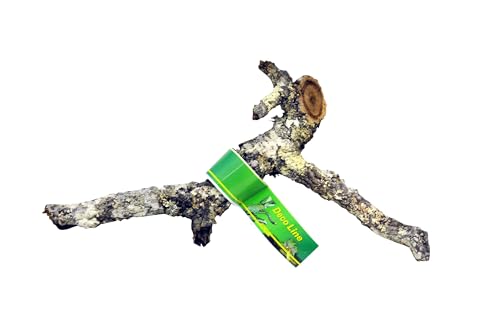 Lucky Reptile Tronchos - Korkäste, Größe:60-90 cm Lucky Reptile Tronchos - Korkäste, Größe:60-90 cm von Lucky Reptile