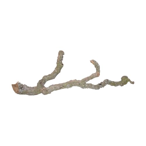 Lucky Reptile Tronchos - Korkäste, Größe:90-120 cm von Lucky Reptile