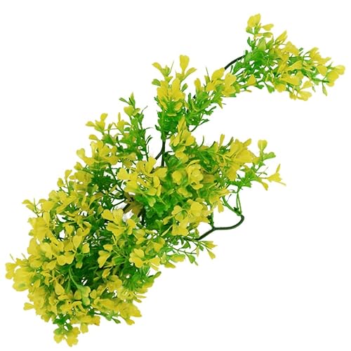 Lucky Reptile Turtle Plant - Bacopa Gelb ca. 40 cm von Lucky Reptile