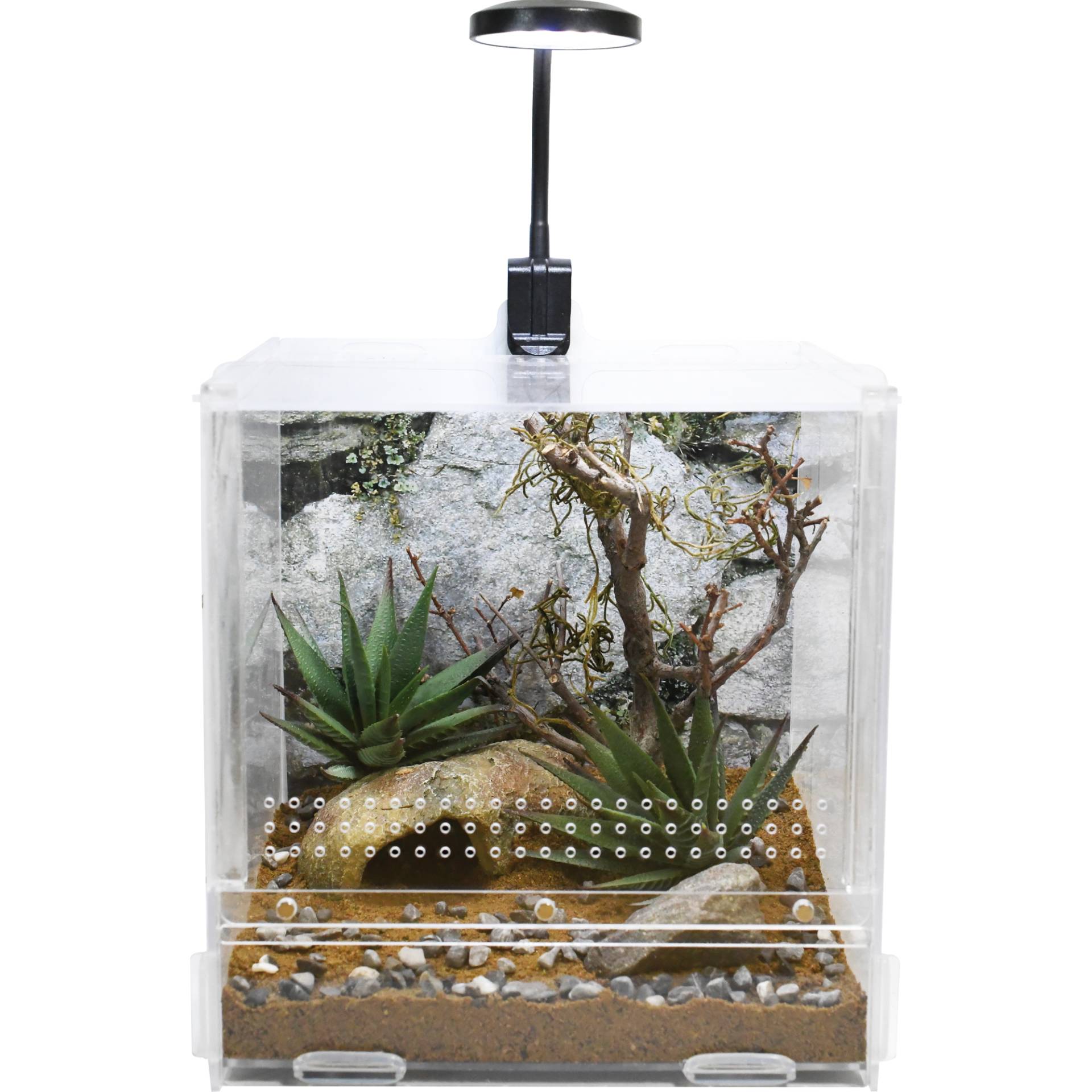 Lucky Reptile USB Mini LED Lampe - 3,5W Lucky Reptile USB Mini LED Lampe - 3,5W von Lucky Reptile