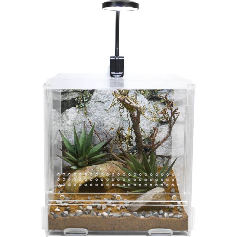 Lucky Reptile USB Mini LED Lampe - 3,5W Lucky Reptile USB Mini LED Lampe - 3,5W von Lucky Reptile
