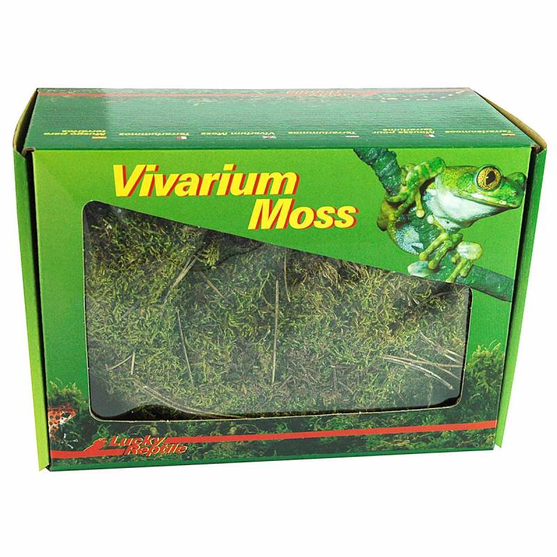 Lucky Reptile Vivarium Moss 150 g von Lucky Reptile