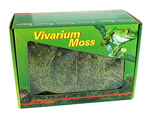 Lucky Reptile Vivarium Moos von Lucky Reptile