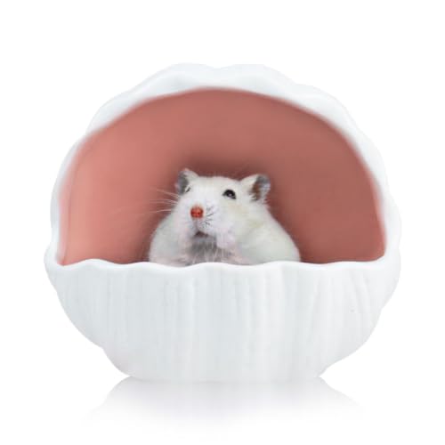 LuckyOpt Hamsterversteck aus Keramik, niedlicher Muschelförmiger Kleintier-Lebensraum, große Öffnung, leicht zu reinigen, Keramik-Hamsterhaus für Hamster, Rennmäuse, Chinchilla, Zwerghamster (Rosa) LuckyOpt Hamsterversteck aus Keramik, niedlicher Muschelförmiger Kleintier-Lebensraum, große Öffnung, leicht zu reinigen, Keramik-Hamsterhaus für Hamster, Rennmäuse, Chinchilla, Zwerghamster (Rosa) von LuckyOpt