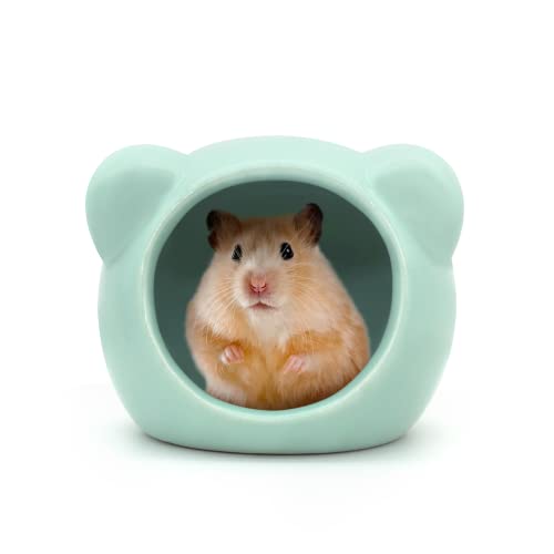 LuckyOpt Keramik-Hamsterhaus, niedliche Hamsterhöhle in Tierform, Sommer, cooles Kleintier-Versteck für Zwerghamster, Rennmäuse, Chinchilla (grün) von LuckyOpt