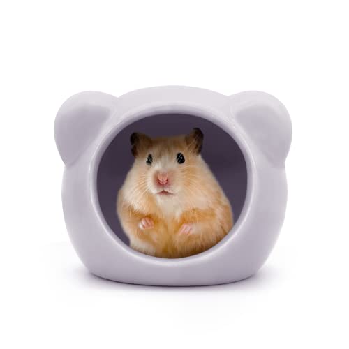 LuckyOpt Keramik-Hamsterhaus, niedliche Hamsterhöhle in Tierform, Sommer, cooles Kleintier-Versteck für Zwerghamster, Rennmäuse, Chinchilla (lila) von LuckyOpt