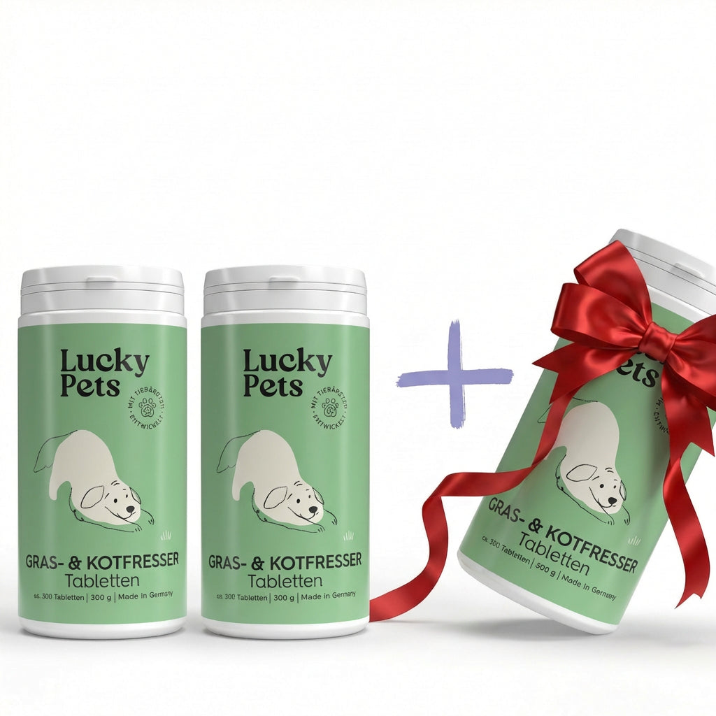 Lucky Pets Gras & Kotfresser Tabletten für Hunde - 100 % pflanzlich, Made in Germany - 3er Spar-Paket von LuckyPets