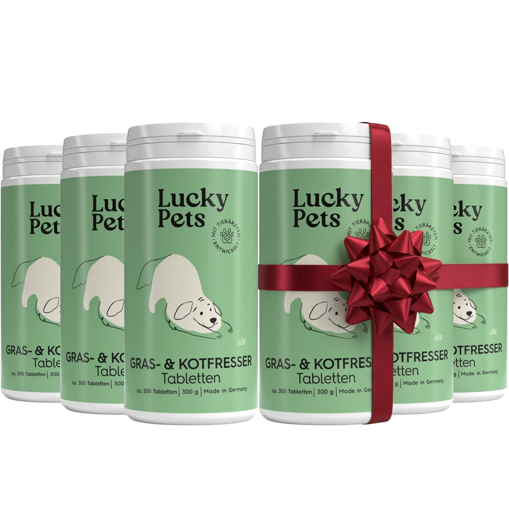 Lucky Pets Gras & Kotfresser Tabletten für Hunde - 100 % pflanzlich, Made in Germany - 6er Spar-Paket von LuckyPets