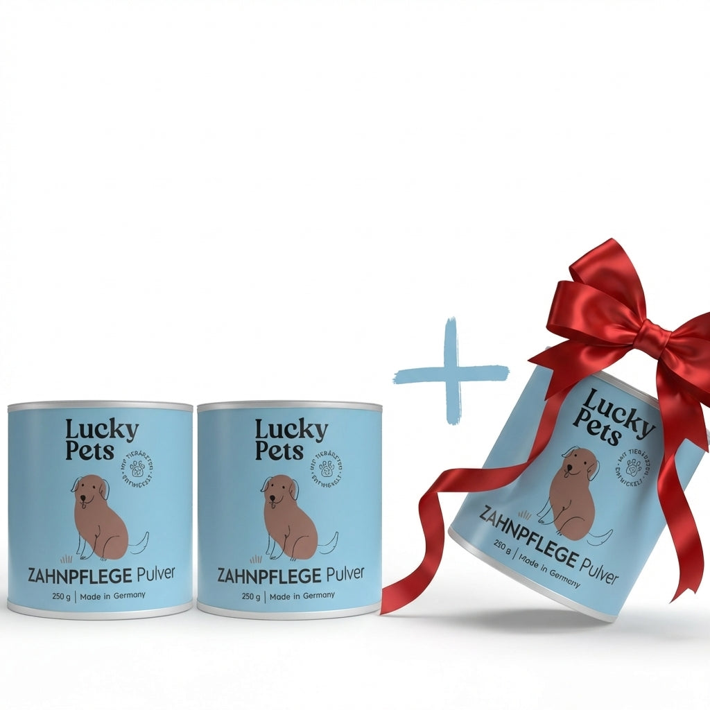 Lucky Pets Zahnpflegepulver für Hunde - ohne Bürste, 100% natürlich - 3er Spar-Paket von LuckyPets