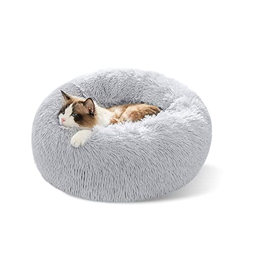 LuckyZoo77 Flauschiges Hundebett Rund 40 cm – Weiches Donut Katzenbett für kleine Hunde & Katzen, Waschbar & rutschfest, Plüsch Haustierbett, Grau LuckyZoo77 Flauschiges Hundebett Rund 40 cm – Weiches Donut Katzenbett für kleine Hunde & Katzen, Waschbar & rutschfest, Plüsch Haustierbett, Grau von LuckyZoo77