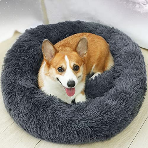 LuckyZoo77 Flauschiges Hundebett Rund 50 cm – Weiches Donut Katzenbett für kleine Hunde & Katzen, Waschbar & rutschfest, Plüsch Haustierbett, Dunkelgrau LuckyZoo77 Flauschiges Hundebett Rund 50 cm – Weiches Donut Katzenbett für kleine Hunde & Katzen, Waschbar & rutschfest, Plüsch Haustierbett, Dunkelgrau von LuckyZoo77