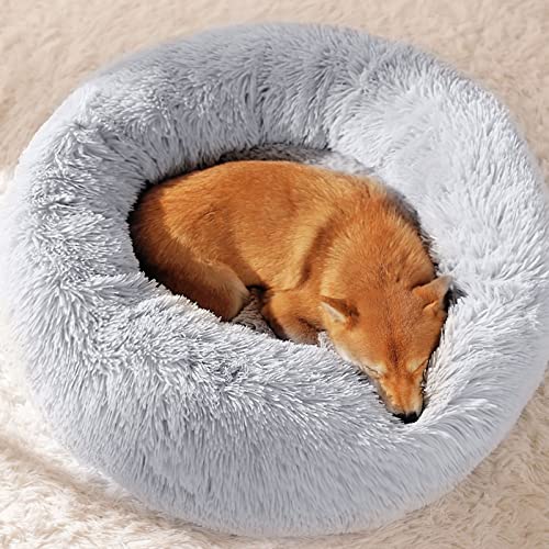 LuckyZoo77 Flauschiges Hundebett Rund 50 cm – Weiches Donut Katzenbett für kleine Hunde & Katzen, Waschbar & rutschfest, Plüsch Haustierbett, Grau LuckyZoo77 Flauschiges Hundebett Rund 50 cm – Weiches Donut Katzenbett für kleine Hunde & Katzen, Waschbar & rutschfest, Plüsch Haustierbett, Grau von LuckyZoo77