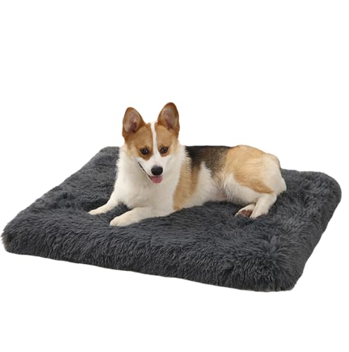LuckyZoo77 Hundebett, Mittel Hundekissen Waschbare, Flauschige Hundematte, Langer Plüsch, weiche Polsterung, für Mittel Hunde & Katzen, 75 x 50 x 8 cm Dunkelgrau LuckyZoo77 Hundebett, Mittel Hundekissen Waschbare, Flauschige Hundematte, Langer Plüsch, weiche Polsterung, für Mittel Hunde & Katzen, 75 x 50 x 8 cm Dunkelgrau von LuckyZoo77