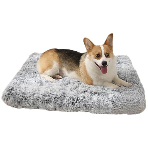 LuckyZoo77 Hundebett Waschbar 50x40cm – Flauschiges Hundekissen mit weicher Polsterung, rutschfest, für kleine Hunde & Katzen, Ombré-Grau LuckyZoo77 Hundebett Waschbar 50x40cm – Flauschiges Hundekissen mit weicher Polsterung, rutschfest, für kleine Hunde & Katzen, Ombré-Grau von LuckyZoo77