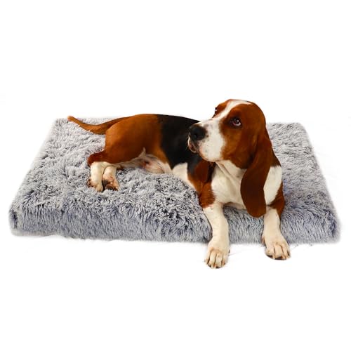 LuckyZoo77 Hundebett Waschbar 75x50cm – Weiches Hundekissen aus Plüsch, rutschfest & Gepolstert, für Mittel Hunde & Katzen, Ombré-Grau LuckyZoo77 Hundebett Waschbar 75x50cm – Weiches Hundekissen aus Plüsch, rutschfest & Gepolstert, für Mittel Hunde & Katzen, Ombré-Grau von LuckyZoo77