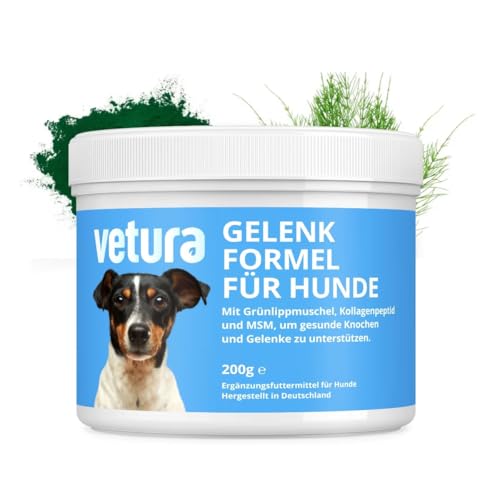 Luckys Box Vetura Gelenk-Formel für Hunde - MSM Pulver Hund, 200g Gelenkpulver mit Grünlippmuschel & Kollagen, hochwertiges Ergänzungsfuttermittel für Hunde, hohe Akzeptanz & Alternative zu Tabletten von Luckys Box