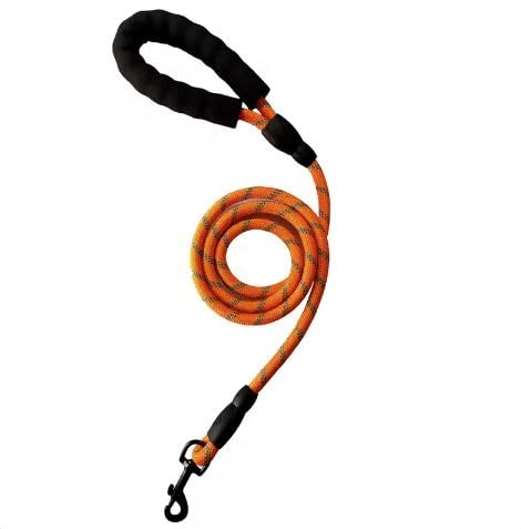Hundeleine 1,5m Hunde Leine für Gassigehen oder Training- Leine mit weichem Griff, Reflektoren - für alle Rassen und Größen - leicht und robust (Orange) von LucsPfotenWelt