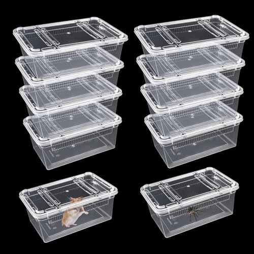 Isopod Futterbox für Reptilien, Kunststoff-Terrarium, Reptilienzuchtbox für Bartgecko, Drache, Eidechse, Spinne, Frosch, Rreptilienträger (transparent), 10 Stück von Lucxhcky
