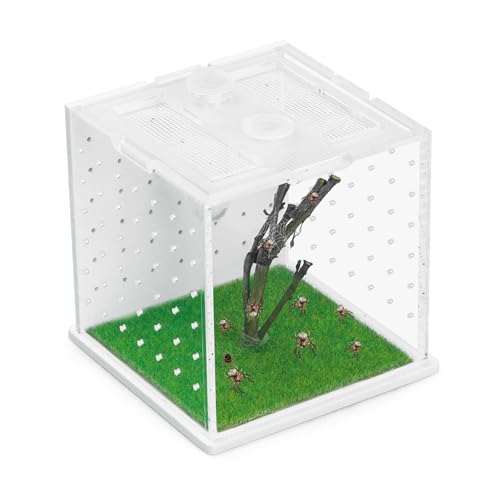 Springspinnengehege aus Acryl, 7 x 7 x 7 x 7 cm, transparentes Reptilien-Terrarium, vielseitiges Vogelspinnengehege für kleine Reptilien/Insekten, kleines Reptilienbecken mit Pipette Springspinnengehege aus Acryl, 7 x 7 x 7 x 7 cm, transparentes Reptilien-Terrarium, vielseitiges Vogelspinnengehege für kleine Reptilien/Insekten, kleines Reptilienbecken mit Pipette von Lucxhcky