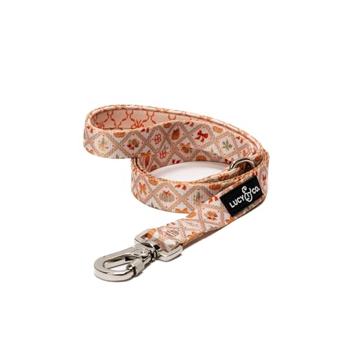 Lucy & Co. Designer-Hundeleine für kleine, mittelgroße oder große Hunde oder Welpen, Haustierzubehör und Zubehör, 1,5 m lang, orangefarbener cremefarbener Kürbis von Lucy & Co.