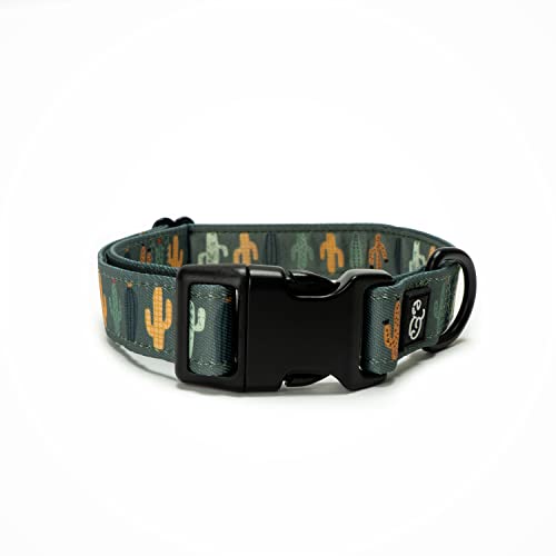 Lucy & Co. Looking Sharp Hundehalsband – Langlebiges, leichtes Designer-Halsband für Haustiere – verstellbare Metall-Sicherheitsschnalle – Grün-Gold-Kaktus – klein von Lucy & Co.