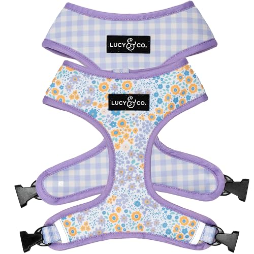 Lucy & Co. Niedliches wendbares Hundegeschirr, Spazierengehalfter, beste Designer-Haustiergeschirre für XS-XL, gepolsterte, verstellbare Weste für einfaches Spazierengehen, Größe L, Violett mit Lucy & Co. Niedliches wendbares Hundegeschirr, Spazierengehalfter, beste Designer-Haustiergeschirre für XS-XL, gepolsterte, verstellbare Weste für einfaches Spazierengehen, Größe L, Violett mit von Lucy & Co.