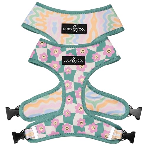 Lucy & Co. Niedliches wendbares Hundegeschirr, Spazierengehen, Halfter – beste Designer-Haustiergeschirre für XS-XL Hunde – gepolsterte, verstellbare Weste für einfaches Gehen (Just Chill Lucy & Co. Niedliches wendbares Hundegeschirr, Spazierengehen, Halfter – beste Designer-Haustiergeschirre für XS-XL Hunde – gepolsterte, verstellbare Weste für einfaches Gehen (Just Chill von Lucy & Co.