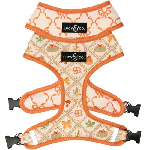 Lucy & Co. Niedliches wendbares Hundegeschirr, Spazierengehhalfter, beste Designer-Haustiergeschirre für XS-XL, gepolsterte, verstellbare Weste für einfaches Gehen, Größe L, orange/cremefarben, Kürbis von Lucy & Co.