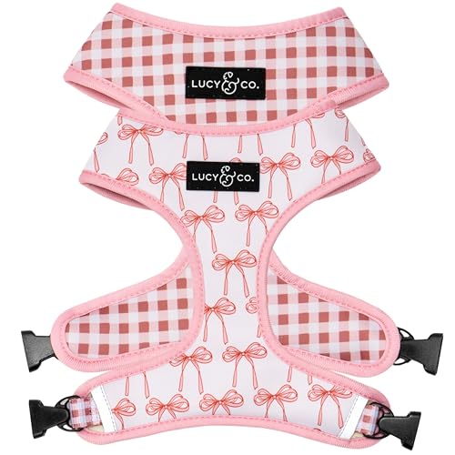 Lucy & Co. Niedliches wendbares Hundegeschirr, Spazierengehhalfter, beste Designer-Haustiergeschirre für XS-XL, gepolsterte, verstellbare Weste für einfaches Spazierengehen, Größe M, Ballettschleifen, Lucy & Co. Niedliches wendbares Hundegeschirr, Spazierengehhalfter, beste Designer-Haustiergeschirre für XS-XL, gepolsterte, verstellbare Weste für einfaches Spazierengehen, Größe M, Ballettschleifen, von Lucy & Co.