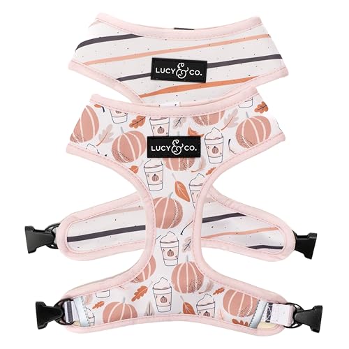 Lucy & Co. Niedliches wendbares Hundegeschirr, Spazierengehhalfter, beste Designer-Haustiergeschirre für XS-XL, gepolsterte, verstellbare Weste für einfaches Spazierengehen, Größe XL, Herbstfarben, Lucy & Co. Niedliches wendbares Hundegeschirr, Spazierengehhalfter, beste Designer-Haustiergeschirre für XS-XL, gepolsterte, verstellbare Weste für einfaches Spazierengehen, Größe XL, Herbstfarben, von Lucy & Co.
