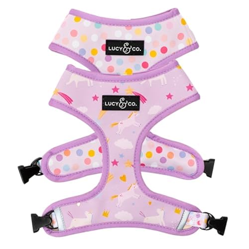 Lucy & Co. Niedliches wendbares Hundegeschirr, Spazierengehhalfter, beste Designer-Haustiergeschirre für XS-XL, gepolsterte, verstellbare Weste für einfaches Spazierengehen (Größe S, Einhornzauber, Lucy & Co. Niedliches wendbares Hundegeschirr, Spazierengehhalfter, beste Designer-Haustiergeschirre für XS-XL, gepolsterte, verstellbare Weste für einfaches Spazierengehen (Größe S, Einhornzauber, von Lucy & Co.