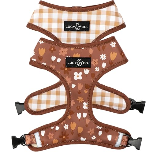 Lucy & Co. Niedliches wendbares Hundegeschirr, Spazierengehhalfter, beste Designer-Haustiergeschirre für XS-XL Hunde, gepolsterte, verstellbare Weste für einfaches Spazierengehen, Größe M, Lucy & Co. Niedliches wendbares Hundegeschirr, Spazierengehhalfter, beste Designer-Haustiergeschirre für XS-XL Hunde, gepolsterte, verstellbare Weste für einfaches Spazierengehen, Größe M, von Lucy & Co.