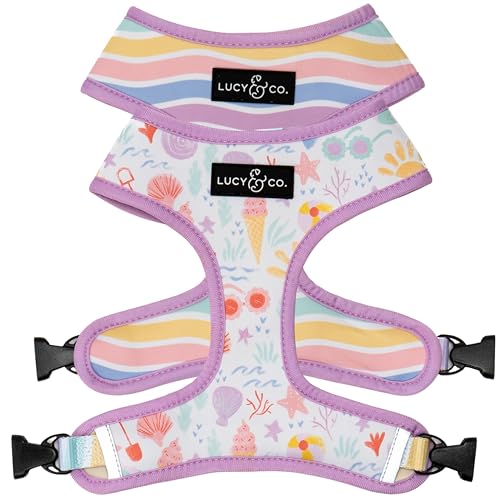 Lucy & Co. Niedliches wendbares Hundegeschirr, Spaziergehhalfter, beste Designer-Haustiergeschirre für XS-XL, gepolsterte, verstellbare Weste für einfaches Spazierengehen, Größe XL, Pastellmuscheln von Lucy & Co.