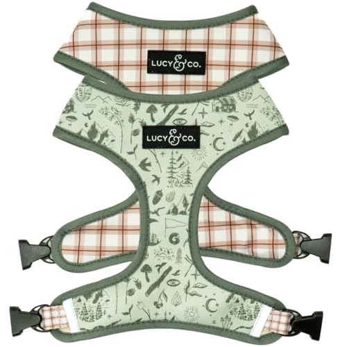 Lucy & Co. Niedliches wendbares Hundegeschirr, Spaziergehhalfter, beste Designer-Haustiergeschirre für XS-XL, gepolsterte, verstellbare Weste für einfaches Spazierengehen, Größe XS, Grün kariert von Lucy & Co.