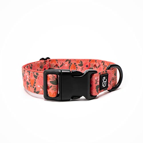Lucy & Co. Posy Pink Hundehalsband – Langlebiges, leichtes Designer-Halsband für Haustiere – verstellbare Metall-Sicherheitsschnalle – Korallenrosa Blumen – Größe L von Lucy & Co.