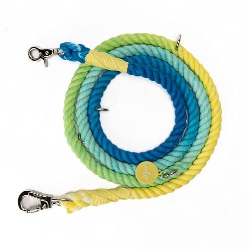 The Lucy & Co. Bolt of Energy, 6-in-1-Seilleine mit Ombré-Freisprechfunktion The Lucy & Co. Bolt of Energy, 6-in-1-Seilleine mit Ombré-Freisprechfunktion von Lucy & Co.