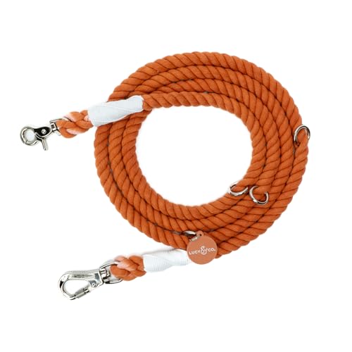 The Lucy & Co. Pumpkin Spice Händefreie 6-in-1-Seilleine The Lucy & Co. Pumpkin Spice Händefreie 6-in-1-Seilleine von Lucy & Co.