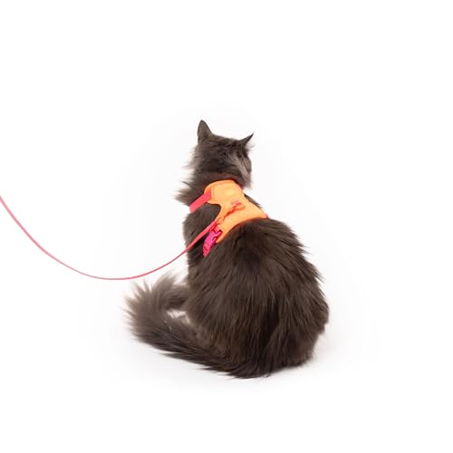 LucyBalu® Explorer Katzengeschirr mit Leine | ausbruchsicheres Katzengeschirr mit AirTag Fach | Katzen Brustgeschirr mit Katzenleine | Sicherheitsgeschirr mit Leine für Katzen | Berry Orange M/L von LucyBalu