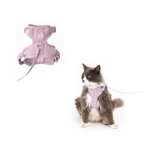 LucyBalu® Explorer Katzengeschirr mit Leine | ausbruchsicheres Katzengeschirr mit AirTag Fach | Katzen Brustgeschirr mit Katzenleine | Sicherheitsgeschirr mit Leine für Katzen | Lila M/L von LucyBalu