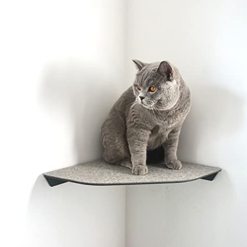 LucyBalu® CORNER Katzenliege & Kletterstufe mit Filzauflage für Wandecken | Wandliege für Katzen | Katzenstufe Wandecke | Katzen Wand Liegeplatz | Katzenmöbel für Kletterwand | Katzenregal | Anthrazit von LucyBalu