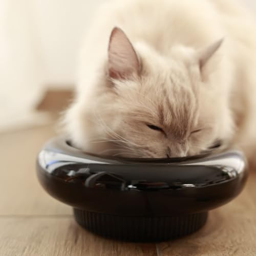 LucyBalu® MYCO erhöhter Katzennapf | Katzen Futternapf aus Keramik | Flacher Katzen Fressnapf | Wassernapf für Katzen in organischer Form | hochwertiger Katzen Trinknapf | Katzen Napf | schwarz von LucyBalu